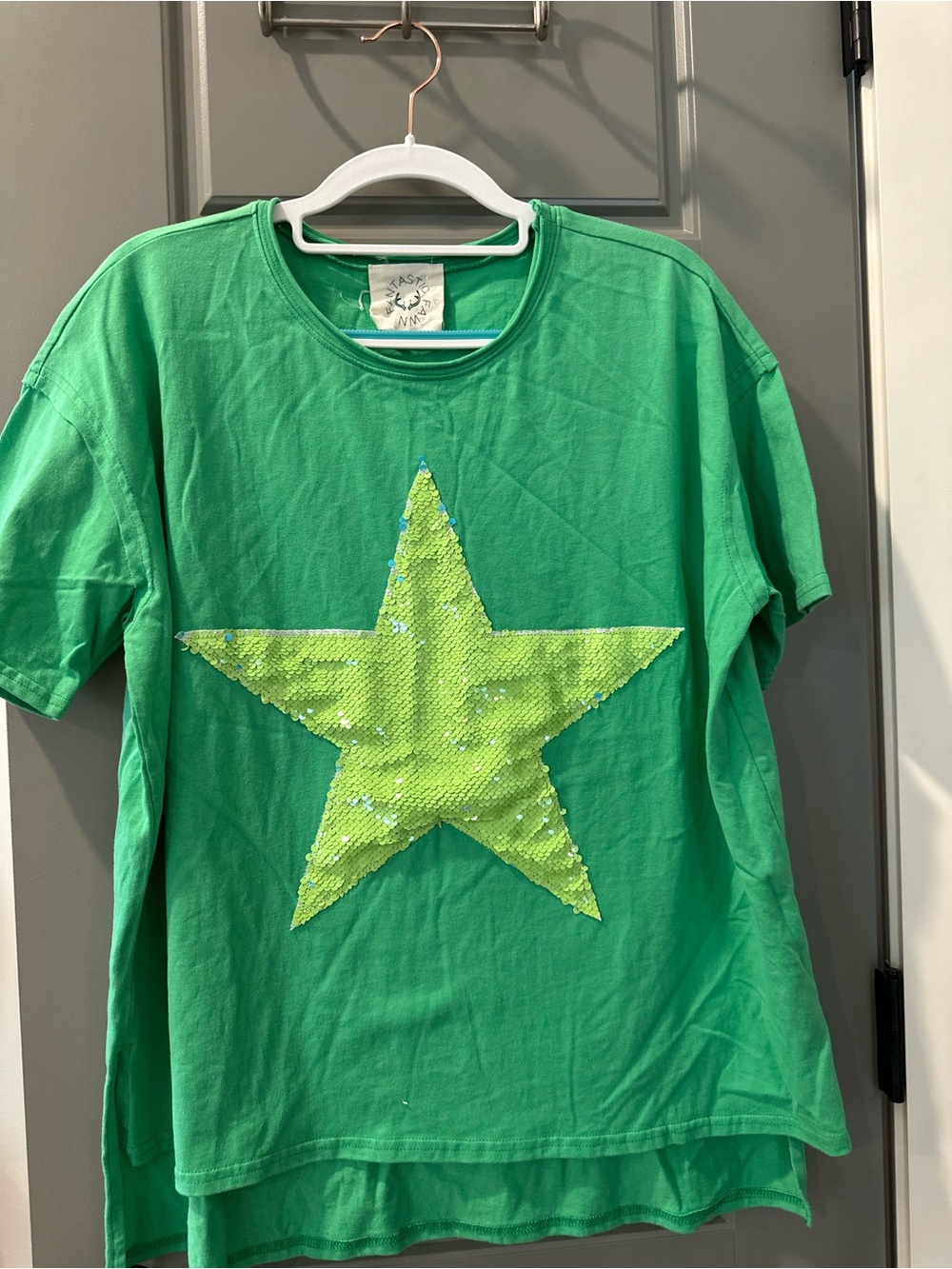 Fantastic Fawn Green Top with Lime Sequin Star